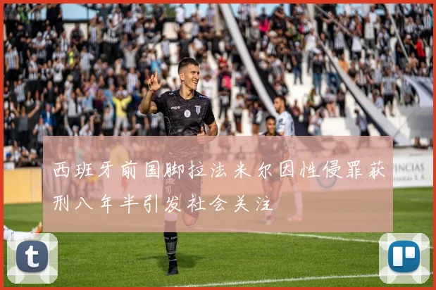 西班牙前国脚拉法米尔因性侵罪获刑八年半引发社会关注