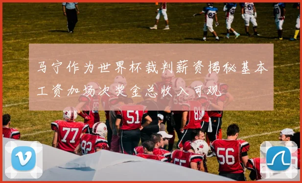 马宁作为世界杯裁判薪资揭秘基本工资加场次奖金总收入可观